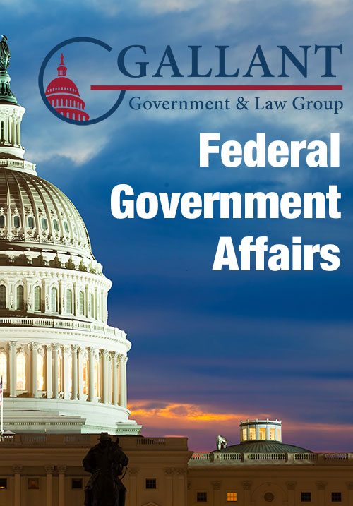 Gallant Government & Law Group - Federal Government